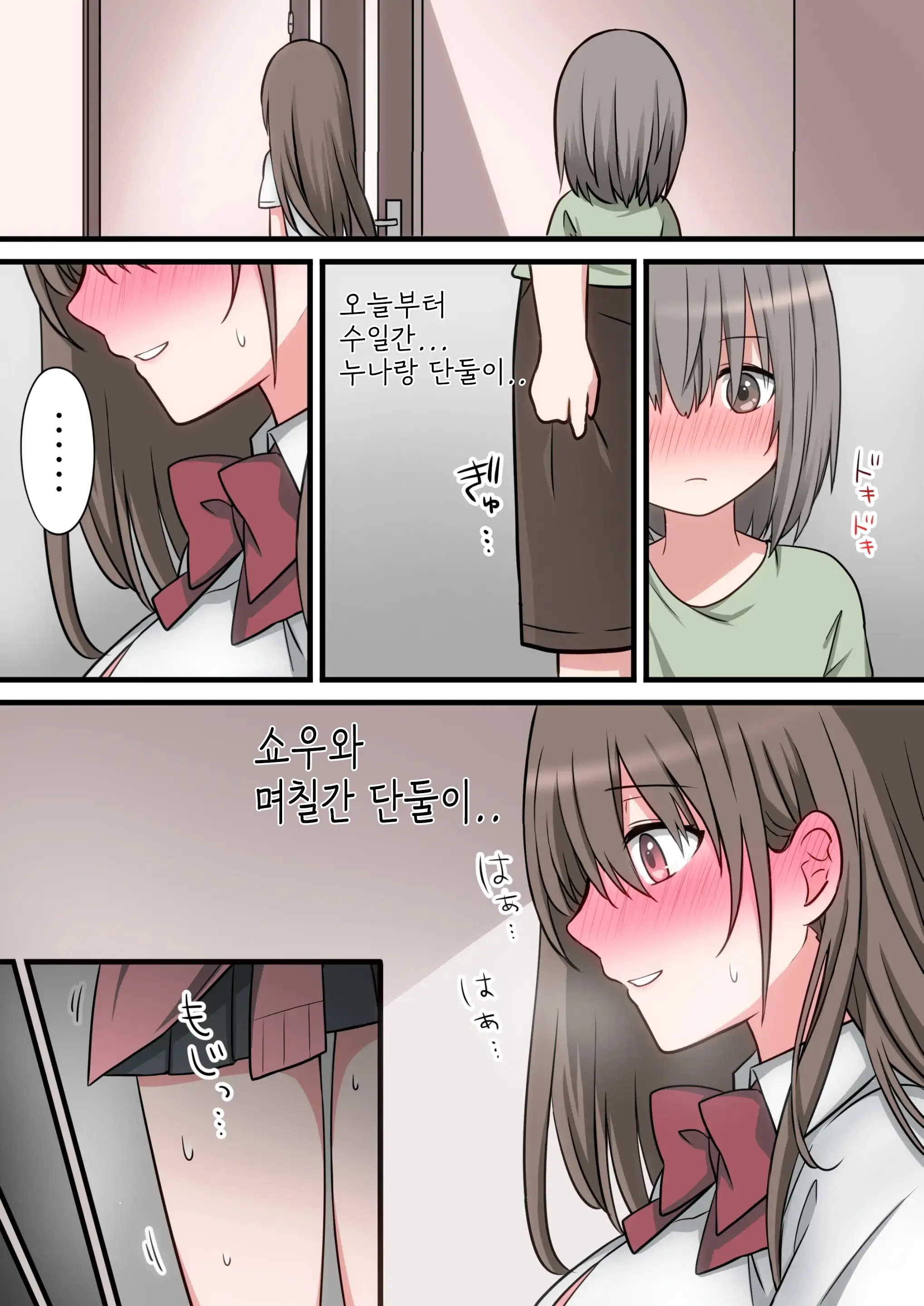 Seiyoku Tsuyome Na Onee-Chan To Icha Love Orusuban Ecchi!